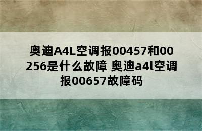 奥迪A4L空调报00457和00256是什么故障 奥迪a4l空调报00657故障码